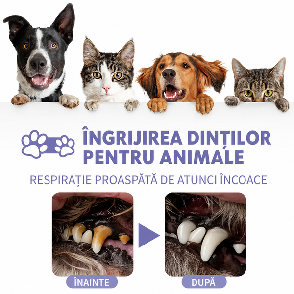 Spray pentru Igiena Orală Canină